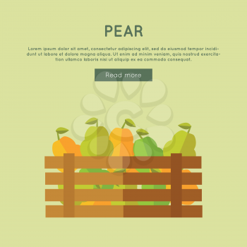 Pear vector web banner. Flat design. Illustration of wooden box full of fresh and ripe fruits on color background for grocery shop, farm, agricultural company web page design. 