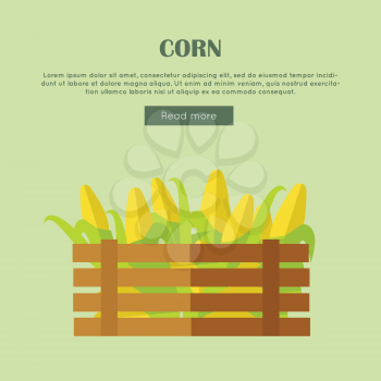 Corn vector web banner. Flat design. Illustration of wooden box full of fresh and ripe cereals on color background for grocery shop, farm, agricultural company web page design. 