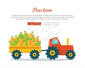Pear farm conceptual banner. Flat design. Delivering fresh fruits from farm to market. Tractor with trailer carries big pears. Template for eco farm, fruit shop, transport company web page.      