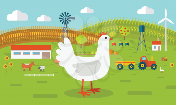 Farmyard vector illustration. Flat design. Hen standing against the farm landscape, tractor, cow, fields on background. Organic farming concept. Traditional agriculture. Modern ecological farm.   