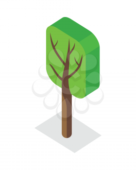 Green tree icon. Isometric green tree with shadow. Brown wood with green crown. City isometric object in flat. Isolated vector illustration on white background.
