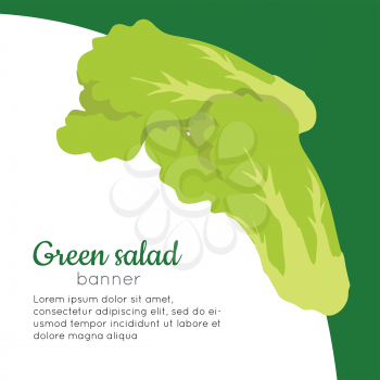 Green salad banner. Healthy food concept. Organic natural food. Consumption of high quality nourishment food. Part of series of promotion healthy diet and good fit. Vector illustration