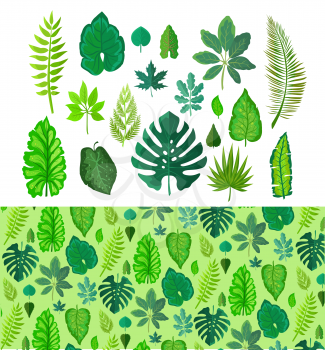 Set of tropical leaves isolated on white. Collection of green tree leaves. Natural green fresh leafs. Leafs set element floral color garden art. Natural green tropical set leaves. Flat leafs. Vector