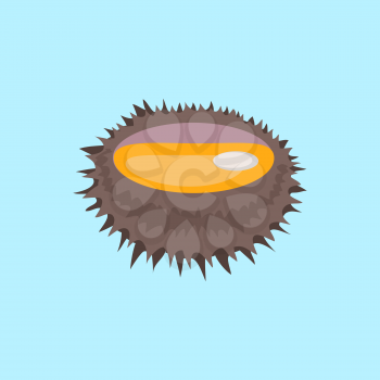 Sea urchin vector pattern. Flat style design. Seafood illustration for packaging, logos, and patterns. Healthy eating marine products concept. Cooked sea urchin on blue background.