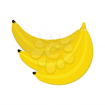Bunch of bananas isolated. Editable element for your design. Grocery store assortment, healthy nutrition. For icons, ad, infographics. Part of series of fruits and vegetables in flat style. Vector