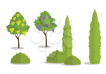 Set of isolated trees and bushes in flat. Tree forest, leaf tree isolated, tree branch nature green, plant eco branch tree, organic natural wood illustration. Vector illustration on white background.