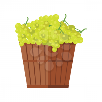 Wooden basket with grapes. White Wine. Fruit for preparation check elite vintage strong wine. Bunch or cluster of grapes. Grapery racemation. Part of series of viniculture production items. Vector