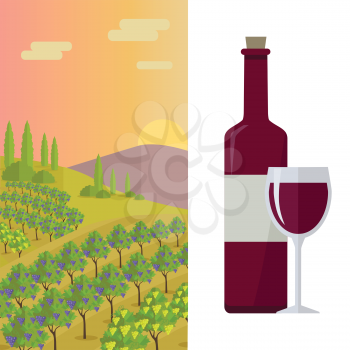 Grapes leaves in a sunny vineyard. Bottle with label and glass of red wine. Vineyard langscape. Rural landscape with vineyard and grapes bunches. Landscape with rolling hills and valleys.