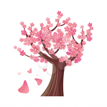 Sakura tree isolated on white. Full blossom of traditional asian cherry tree, with falling petals. Japanese cherry, Prunus serrulata. Cherry blossom. National flower of Japan. Pink flowers. Vector