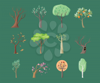 Set of tree icons. Tree with green leaves. Maple, oak, birch, sakura, willow, poplar vector tree round icon. Tree forest, leaf tree isolated, falling autumn leaves, plant eco branch tree.