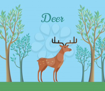 Red deer in the forest. Ruminant mammal with antler. Red deer, sika deer, barasingha, reindeer. Deer in tundra or in tropical rainforest. Wildlife concept. Herbivorous animal. Vector illustration