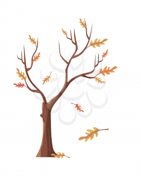 Isolated oak tree with falling leaves. Tree forest, leaf tree isolated, tree branch, plant eco branch tree, organic natural wood illustration. Falling autumn leaves. Oak icon. Vector illustration.
