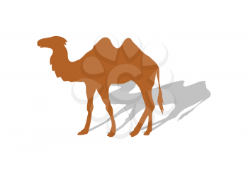 Transportation of goods by camel. Worldwide warehouse deliver through Africa. Logistics shipping and distribution. Camel with shadow. Loading and unloading. Part of series of worldwide delivery