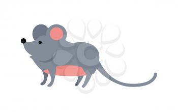 Funny mouse isolated on white background. Gray mouse with pink ears and belly. Animal adorable mouse vector character. Charming humorous mouse. Wildlife character