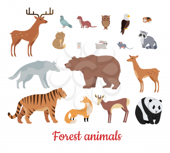 Forest animals set. Deer, bear, wolf, tiger, fox, panda, raccoon, rabbit, owl mouse eagle weasel roe deer chipmunk isolated on white background Wildlife character