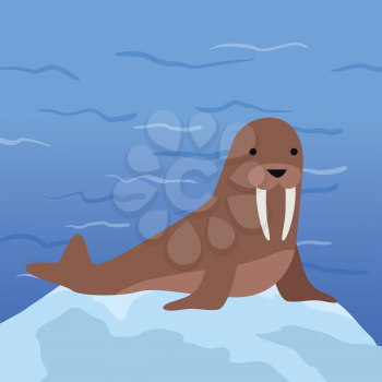 Funny walrus on background of arctic glacier. Brown walrus with white fangs. Animal adorable walrus vector character. Charming walrus. Wildlife character