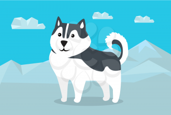 Siberian husky dog breed on snowy mountains background. Flat design vector. Domestic friend and companion animal. For traveling concept, racing sled dogs ad, native species habitat illustrating