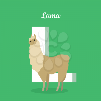 Animals alphabet. Letter - L. Brown lama stands near letter. Alphabet learning chart with animal illustration for letter and animal name. Vector zoo alphabet with cartoon animal on green background