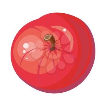 Red apple isolated. Pomaceous fruit. Tasty popular autumn fruit. Healthy juicy fresh apple. Sign symbol of autumn. Appetizing dessert. Vegetarian organic food. Vector illustration in flat style