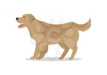Golden retriever dog isolated on white. Labrador Retriever. Large, strongly built breed with a dense, water-repellant wavy coat. Blonde, yellow, or gold puppy. Series of puppies icon symbols. Vector