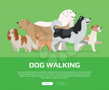 Dog walking conceptual web banner. Flat style vector. Group of purebred dogs standing on green background. Illustration for dog training courses, breed club landing page and corporate site design