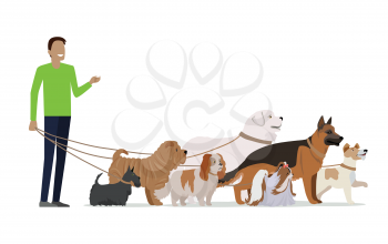 Professional dog walking banner. Young man walking with group of different breeds dogs on white background. Dog service. Vector illustration in flat style. Cartoon dog character, pet animal