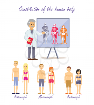 Constitution of the human body. Doctor shows type human body. Ectomorph endomorph and mesomorph, skeleton people, health physique, healthy figure. Healthcare. Normal structure. Vector illustration