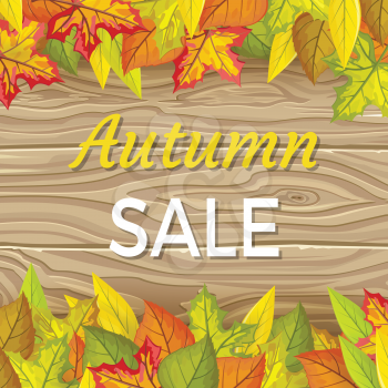 Autumn sale vector concept. Flat design. Colored leaves of variety trees on top and bottom with wooden background and sample text in the middle. For sale and discount advertising. Product label design