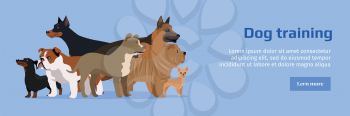Professional dog training banner. Group of different breeds dogs on blue background. Website horizontal template. Dog service. Vector illustration in flat style. Cartoon dog character, pet animal