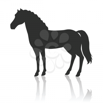 Black horse vector. Flat design. Domestic animal. Country inhabitants concept. For farming, animal husbandry, horse sport illustrating. Agricultural species. Isolated on white