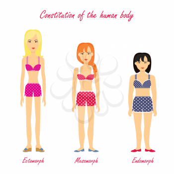 Constitution of human body. Ectomorph. Mesomorph. Endomorph. Women in underwear cloth. Girls different figures types. Somatotype and constitutional psychology concept. Vector illustration