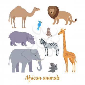 Collection of african animals. Flat design vector. Camel, lion, parrot, monkey, hippo, zebra, elephant, giraffe koala illustrations For nature concepts books illustrating printing materials