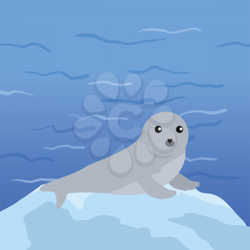Earless seal on floe in the ocean. Flat style vector. Wild animal. Northern fauna species. Cute baby of sea calf in habitat. For nature concepts, children s books illustrating, printing materials