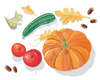 Autumn harvest vector concept. Flat design. Set of ripe vegetables and fallen leaves. Pumpkin, apple, zucchini, acorns. Healthy vegetarian organic food. Illustration for plant farm, grocery store ad