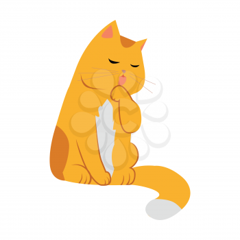 Cute cartoon orange cat. The orange cat washes, licks a paw. Cat is washing itself. Cat icon. Pet icon. Isolated vector illustration on white background