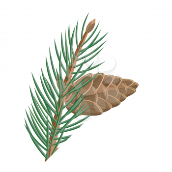 Pine branch with cone vector illustration. Flat design. Evergreen plant illustration for nature concept, gardening books illustrating, greeting cards decoration design.  Isolated on white background