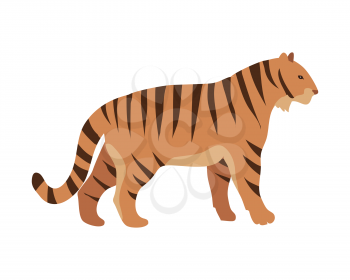 Tiger Panthera tigris cartoon isolated on white. Largest cat species, most recognisable for pattern of dark vertical stripes on reddish-orange fur with lighter underside. Sticker for children. Vector