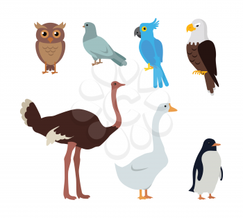 Set of birds isolated. Owl dove blue parrot eagle ostrich goose penguin. Collection of aves. Group of toothless beaked jaws birds, laying of hard-shelled eggs. Stickers for children. Vector