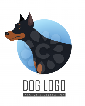 Dog vector logo in flat style. Doberman bust in the blue circle illustration for pet shop, breed club logotype, app icon, animal infogpaphics elements, web design. Isolated on white background