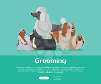 Dog grooming banner. Long haired dog breeds of different size isolated on green background. Pekingese, Shih Tzu, Poodle, Scottish Terrier, Aberdeen Terrier. Dog pet shop banner poster. Vector.