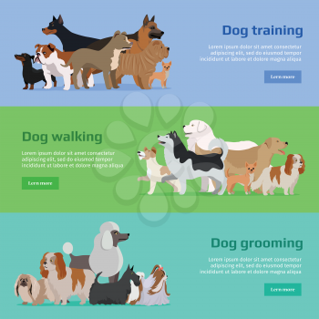 Dog training, dog walking, dog grooming banners set. Long haired dog breeds of different size. Sportive and athletics ones. Dog pet shop banner poster. Vector design illustration in flat style
