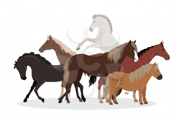 Horse conceptual web banner. Flat style vector. Group of different horses breeds, variety colors and sizes standing, running and rearing. For equestrian club, horse riding courses landing page design