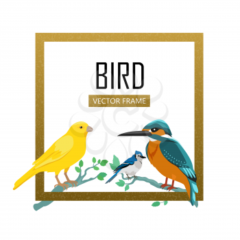 Birds frame vector. Colored wildlife concept in flat design. Word fauna illustration for nature concepts, posters, childrens book illustrating. Canary, kingfisher, blue jay seating on tree brunches.