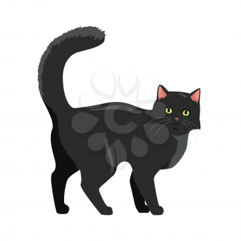 Cute black cat walking with raised tail flat vector illustration isolated on white background. Purebred pet. Domestic friend and companion animal. For pet shop ad, animalistic hobby concept, breeding