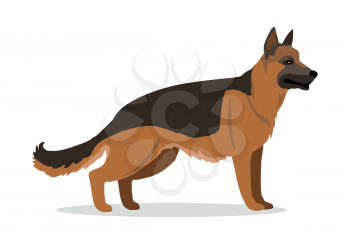 German Shepherd or Alsatian wolf dog isolated on white. Breed of medium to large-sized working dog. Strong intelligent trainable and obedience dog. Home pet. Child pattern icon. Vector illustration