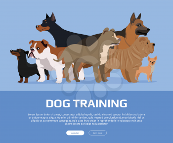 Dog training conceptual web banner. Flat style vector. Group of purebred dogs standing on blue background. Illustration for dog training courses, breed club landing page and corporate site design
