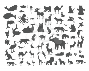 Set of animals silhouettes. Mammals, birds, fish, reptiles, amphibia, bats colection. Fauna of the world concept. Animals of North and South America, Europe, Africa, Asia Australia Vector icons