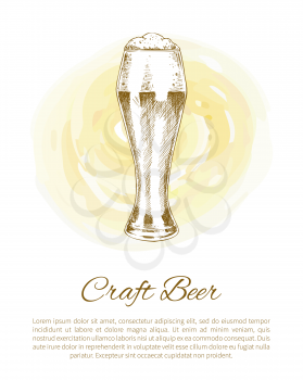 Pilsner craft beer glass depiction on color plash. Refreshment drink vector illustration in sketch style on grunge spotted backdrop with text sample.