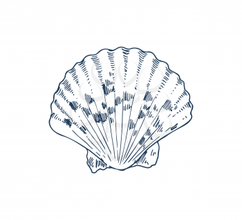 Common cockle edible saltwater clam specie, marine bivalve mollusk vector icon. Monochrome hand drawn sea creature. Nautical poster in sketch style.