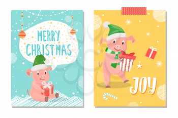 Merry Christmas and joy postcards, piglets New Year symbol, gift box isolated on snowflakes. Pig in green scarf and hat wishing happy holidays vector